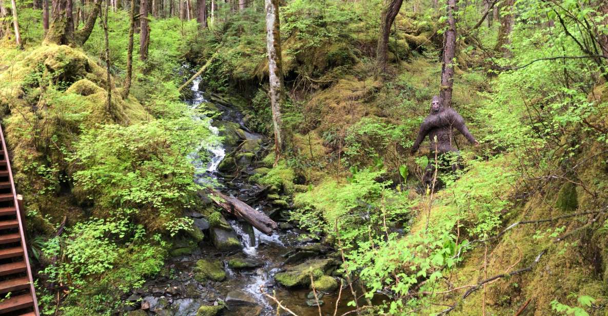 Ketchikan: Tongass Forest Alaska Bigfoot ATV Ride and Hike - Key Points