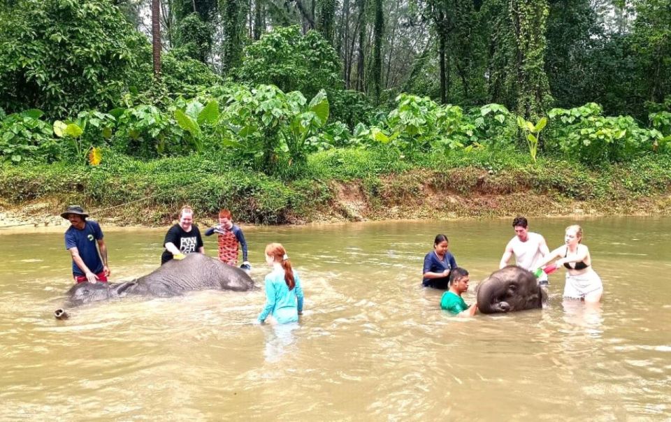 Khao Lak: Elephant Sanctuary Guided Tour