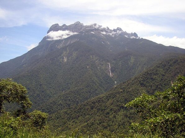 Kinabalu Park & Poring Hot Spring & Canopy Walk - Key Points