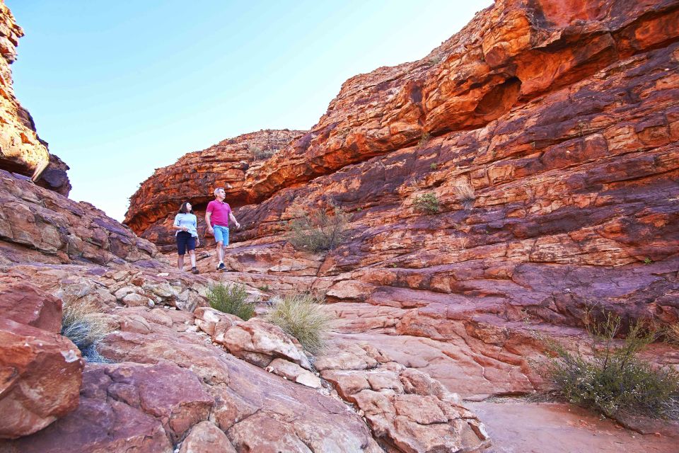 Kings Canyon: Full-Day Tour From Ayers Rock Resort - Key Points