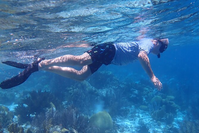 Klein Bonaire Marine Park Snorkeling Excursion - Overview of the Excursion