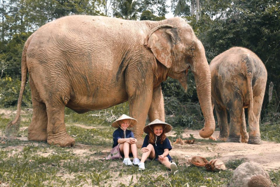 Koh Samui: Ethical Elephant Home Guided Tour With Transfers - Key Points