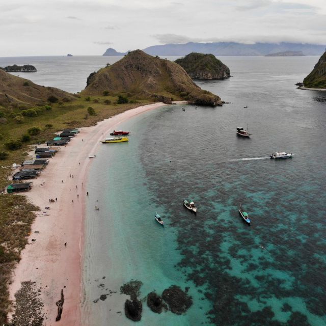 Komodo Island Tour 2Days 1Night - Key Points