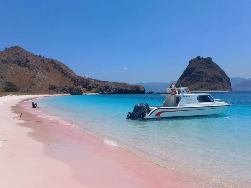 Komodo Tour : Full Day Private Speedboat All in Package - Key Points