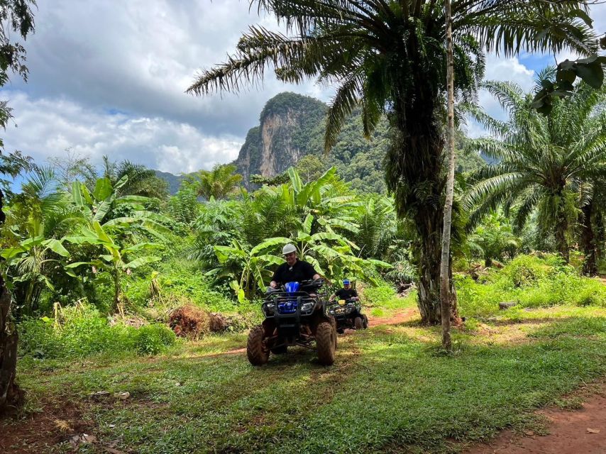 Krabi: Elephant Bathing and Huay Tho Waterfall Day Trip - Key Points