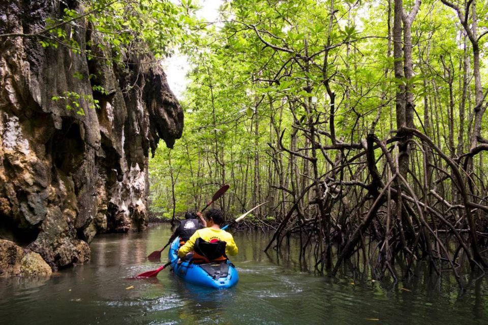 Krabi: Private Sea Kayaking in Ao Thalane and Hong Island - Key Points