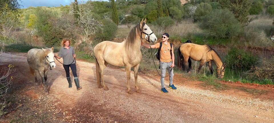 Lagos: a Walk With a Rescued Horse at the Sanctuary - Key Points