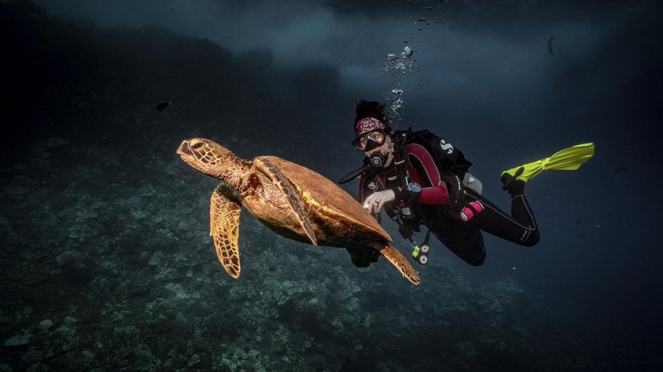 Lahaina: Discover Scuba Diving Class - Key Points