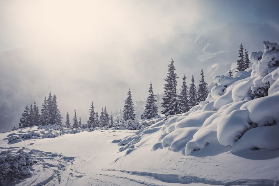 Lake Louise and Moraine: Self-Guided Driving Audio Tour - Key Points