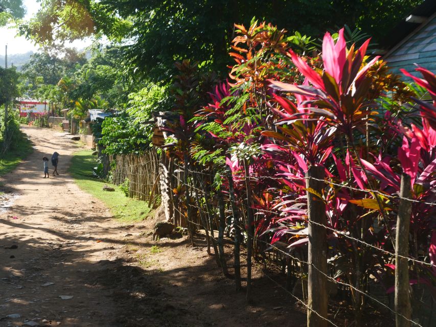 Las Terrenas: The Limón Waterfall Trekking Tour in Samaná