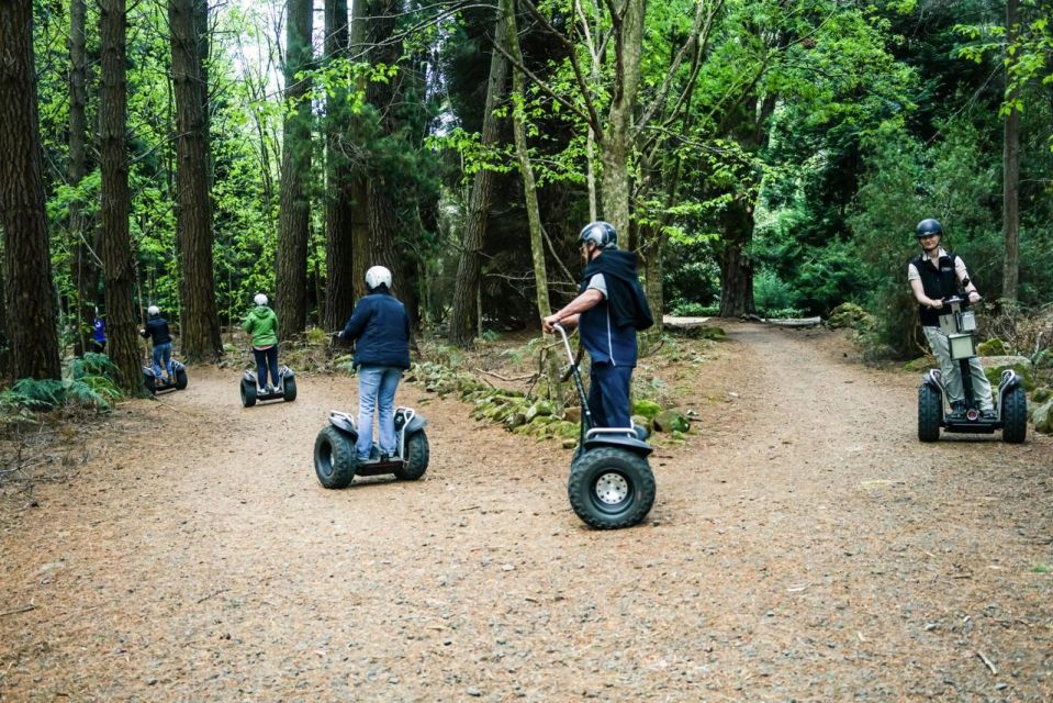 Launceston: Hollybank Forest Guided Segway Tour - Key Points