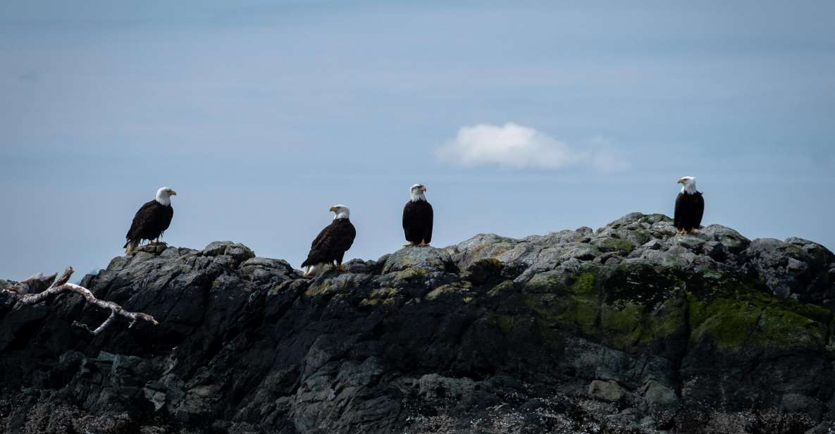 Lighthouse, Totems & Eagles Excursion - Key Points