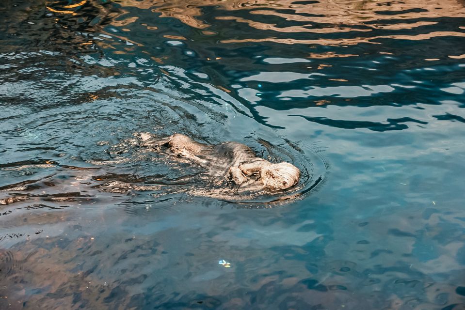 Lisbon: Oceanarium Of Lisbon Entrance Ticket - Key Points