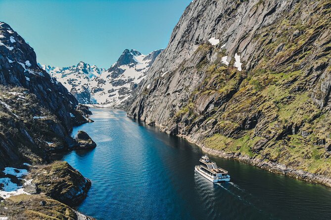 Lofoten Island: Silent Trollfjord Cruise From Svolvaer - Key Points