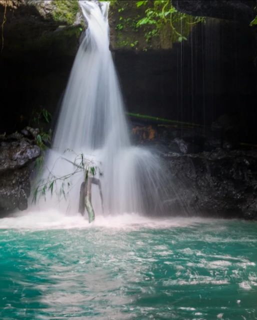 Lombok Day Trip: Ricefield, Waterfall, Monkey Forest. - Key Points