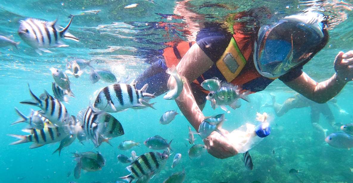 Lombok: Secret Gili Private Snorkeling Boat Trip - Key Points