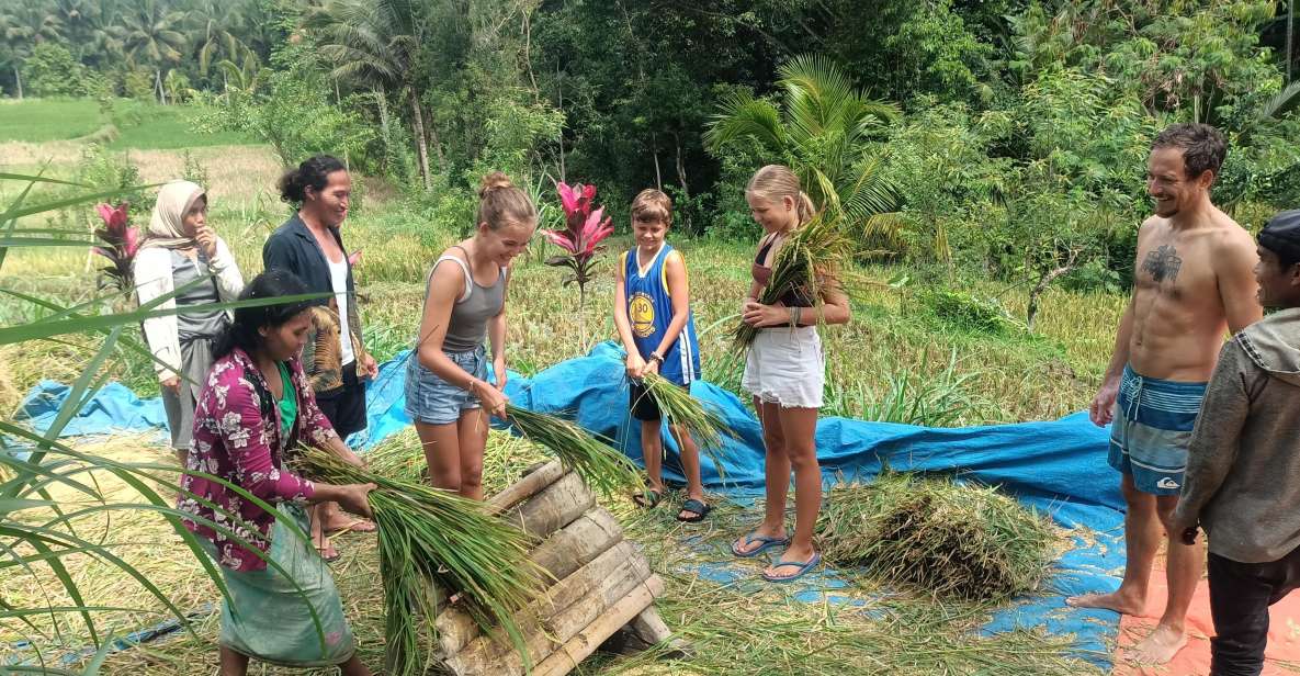 Lombok Tour: Explore Nature and Culture Arround Lombok - Key Points