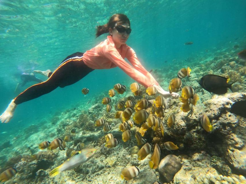 Lombok: Trawangan, Meno & Air Islands Full Day Snorkeling - Key Points