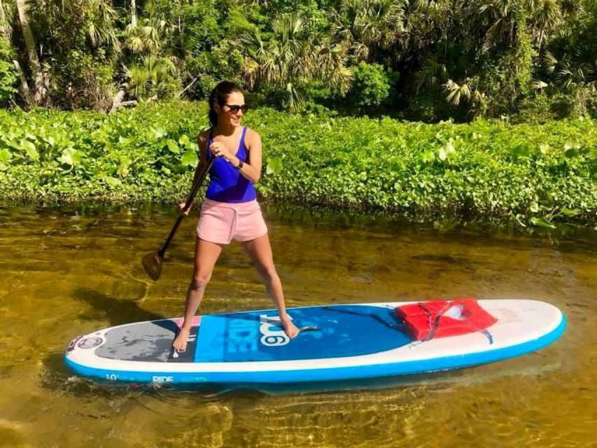 Longwood: Guided Wekiva River Paddleboarding Tour - Key Points