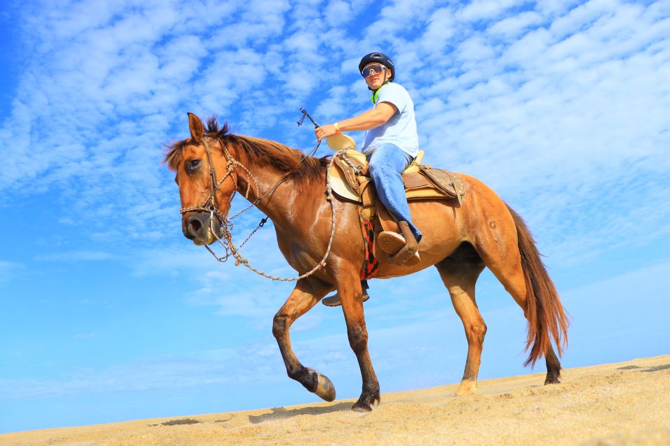 Los Cabos: Horseback Ride on Pacific Beach and Desert - Key Points