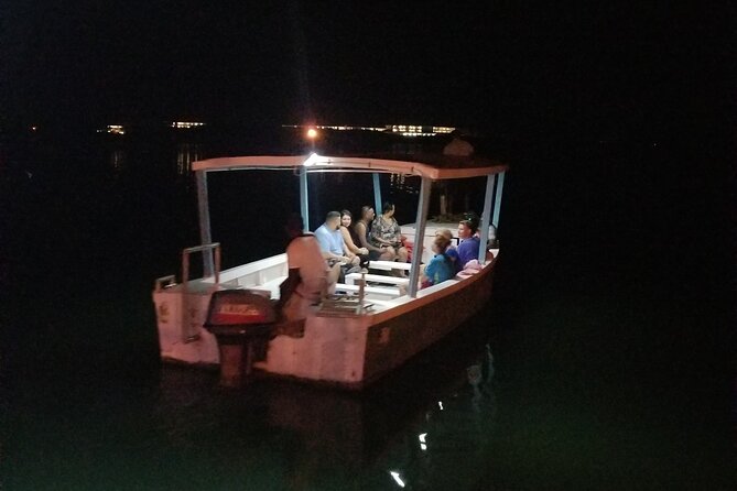 Luminous Lagoon Night Tour From Montego Bay - Transportation Details