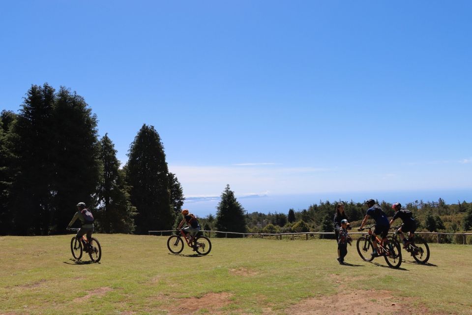 Madeira - Mountain Biking Tour - Key Points