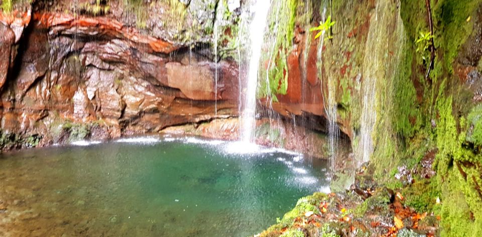 Madeira: Mountain Walk With Lagoon and Waterfalls - Key Points