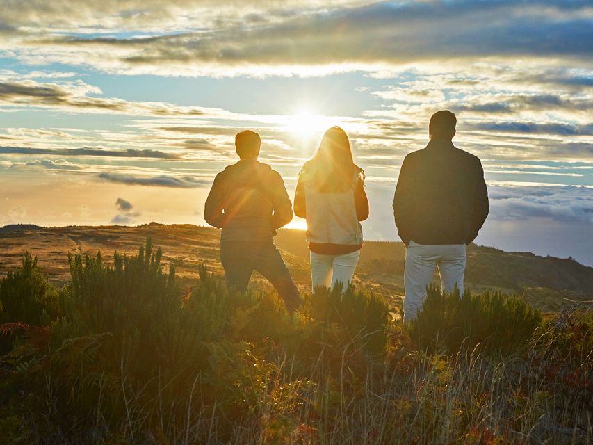 Madeira: Pico Arieiro Sunrise Private Jeep Tour - Key Points