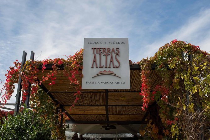 Malbec Experience in Bodega Tierras Altas - Key Points