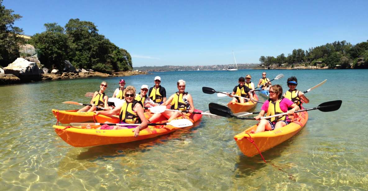 Manly: 3-Beach Kayak Tour With Lunch - Key Points
