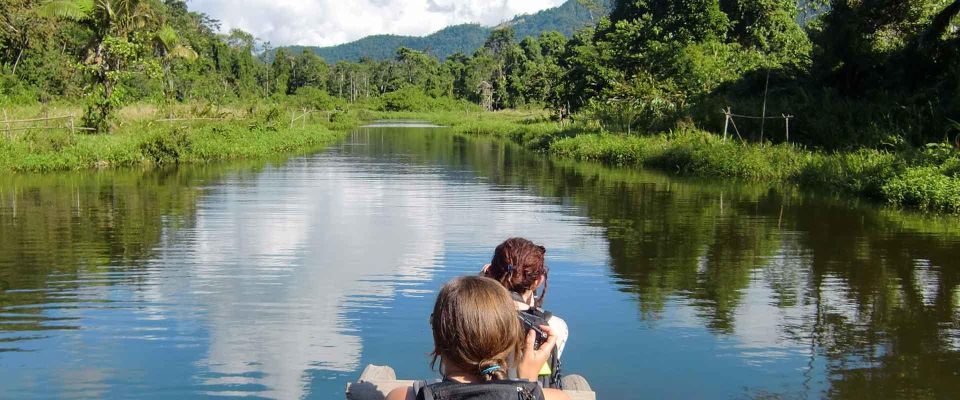 Manu Jungle Excursion 3D | Cloud Forest, Machuwasi, Parrots | - Key Points