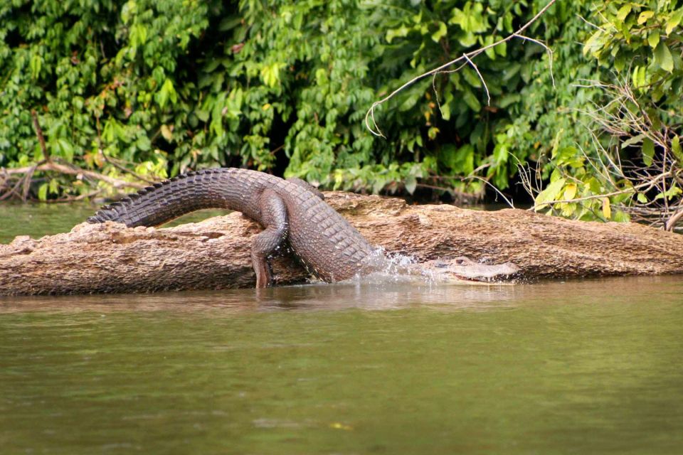 Manu National Park Tour 3 Days - Key Points