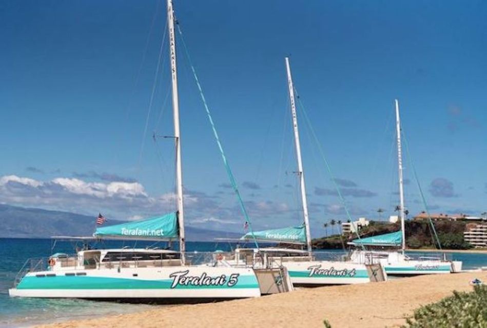 Maui: Kaanapali Wild Dolphin Sail - Key Points