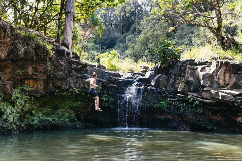 Maui: Rainforest Waterfalls Guided Hike With Picnic Lunch - Key Points