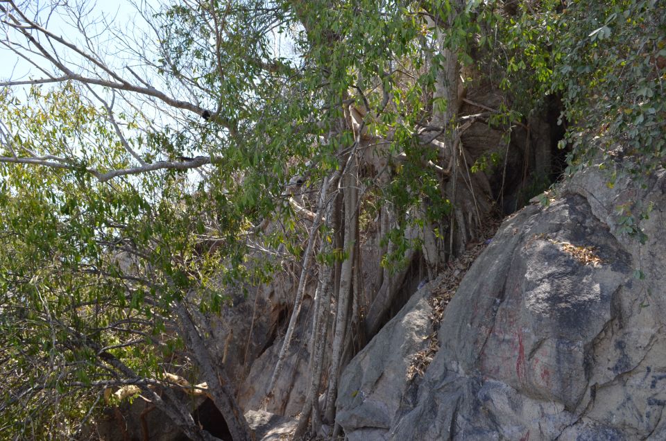 Mazatlan: El Faro Lighthouse Tour With Free Digital Photos - Key Points