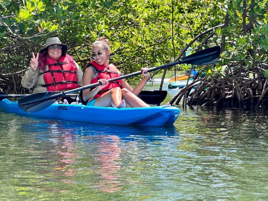 Miami: Paddle Board or Kayak Rental in Virginia Key - Key Points