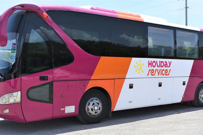 Montego Bay Airport (MBJ) Transportation One-Way or Round-Trip to Hotels - Service Overview and Features