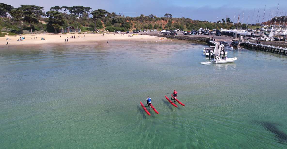 Mornington: Port Phillip Bay Water Bike Tour - Key Points