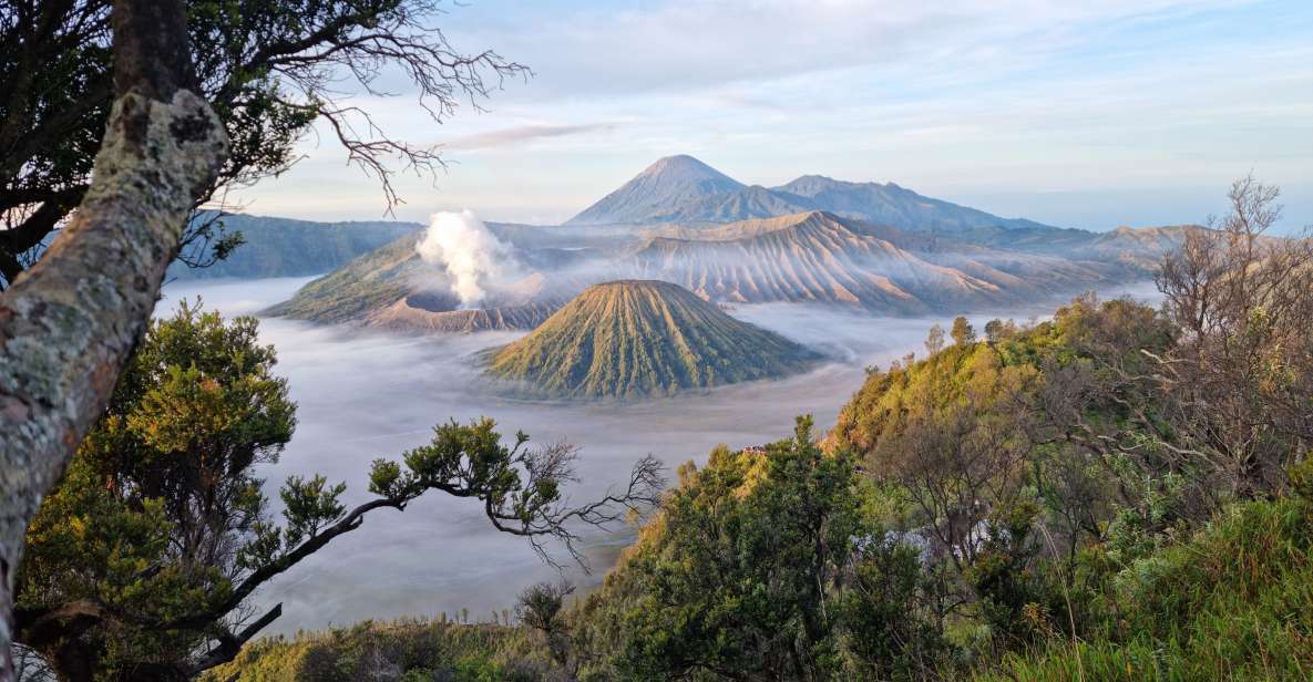 Mount Bromo: Sunrise Guided Tour With Optional Transfer - Key Points