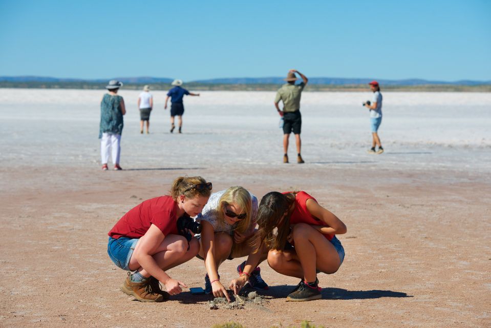 Mount Conner 4WD Small Group Tour From Ayers Rock - Key Points