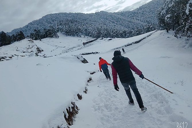 Nagtibba Trek (Dehradun to Dehradun) - Key Points