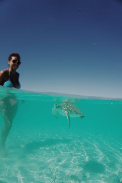 Nassau: Swimming Pigs, Snorkeling W/Turtles Lunch Beach Club - Key Points