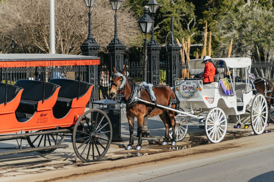 New Orleans: Guided City Sightseeing Tour by Bus - Key Points