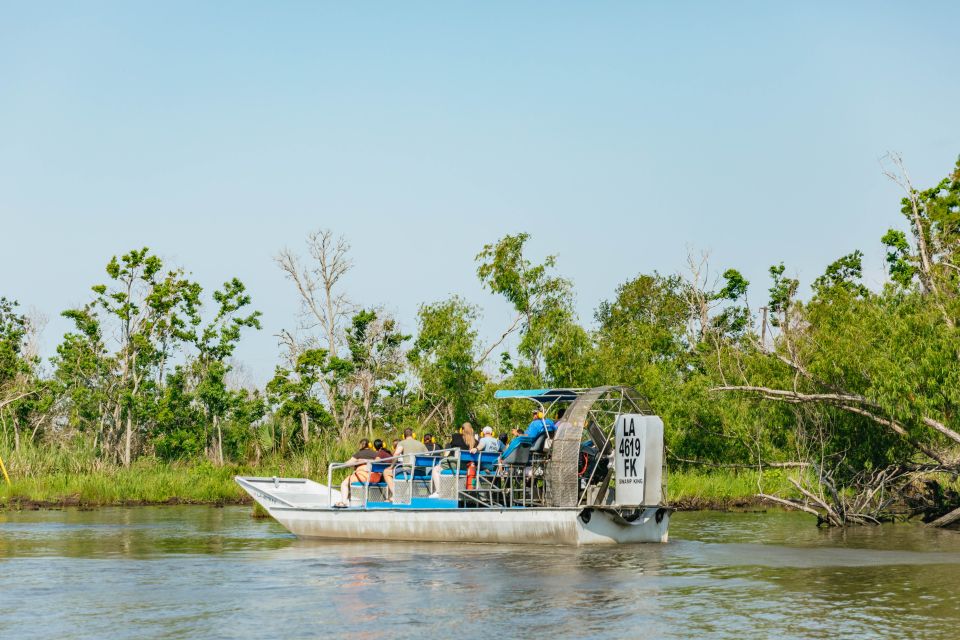 New Orleans: High Speed 9 Passenger Airboat Tour - Key Points