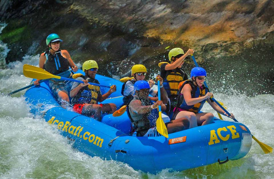 New River Gorge Whitewater Rafting - Lower New Full Day - Key Points