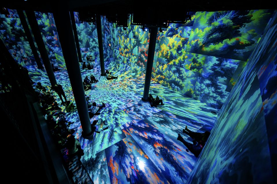 NYC: ARTECHOUSE Immersive Art Experience Entrance Ticket - Key Points