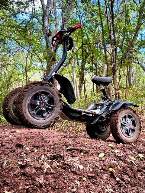 Oahu: Stand-Up ATV Adventure at Coral Crater Adventure Park - Key Points