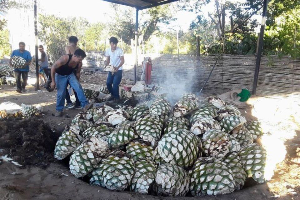 Oaxaca: Ancestral Mezcal Tasting in Ocotlan Valley - Key Points