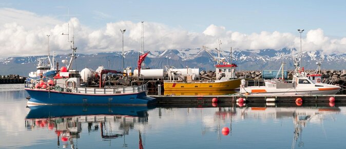 Original Carbon Neutral Whale Watching Tour From Húsavík - Key Points