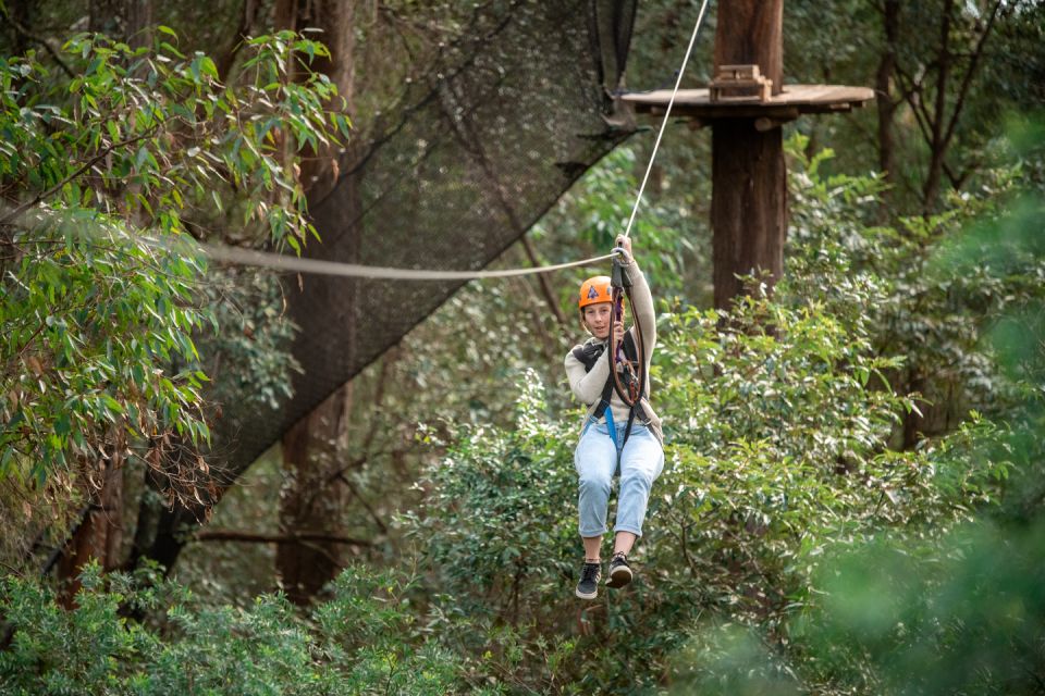 Ourimbah: Central Coast Treetops Adventure Tree Ropes Course - Key Points